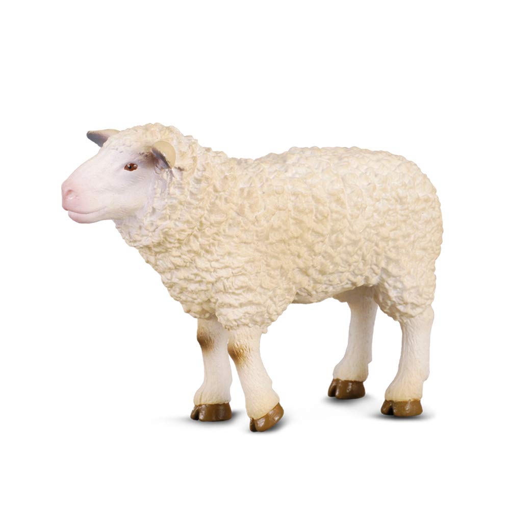 Amazon.com: CollectA Sheep Figure : Toys & Games